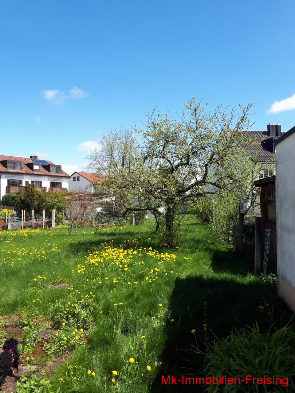 Garten hinter dem Haus